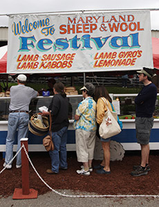 Click to Enter 'Maryland Sheep and Wool Festival' Section